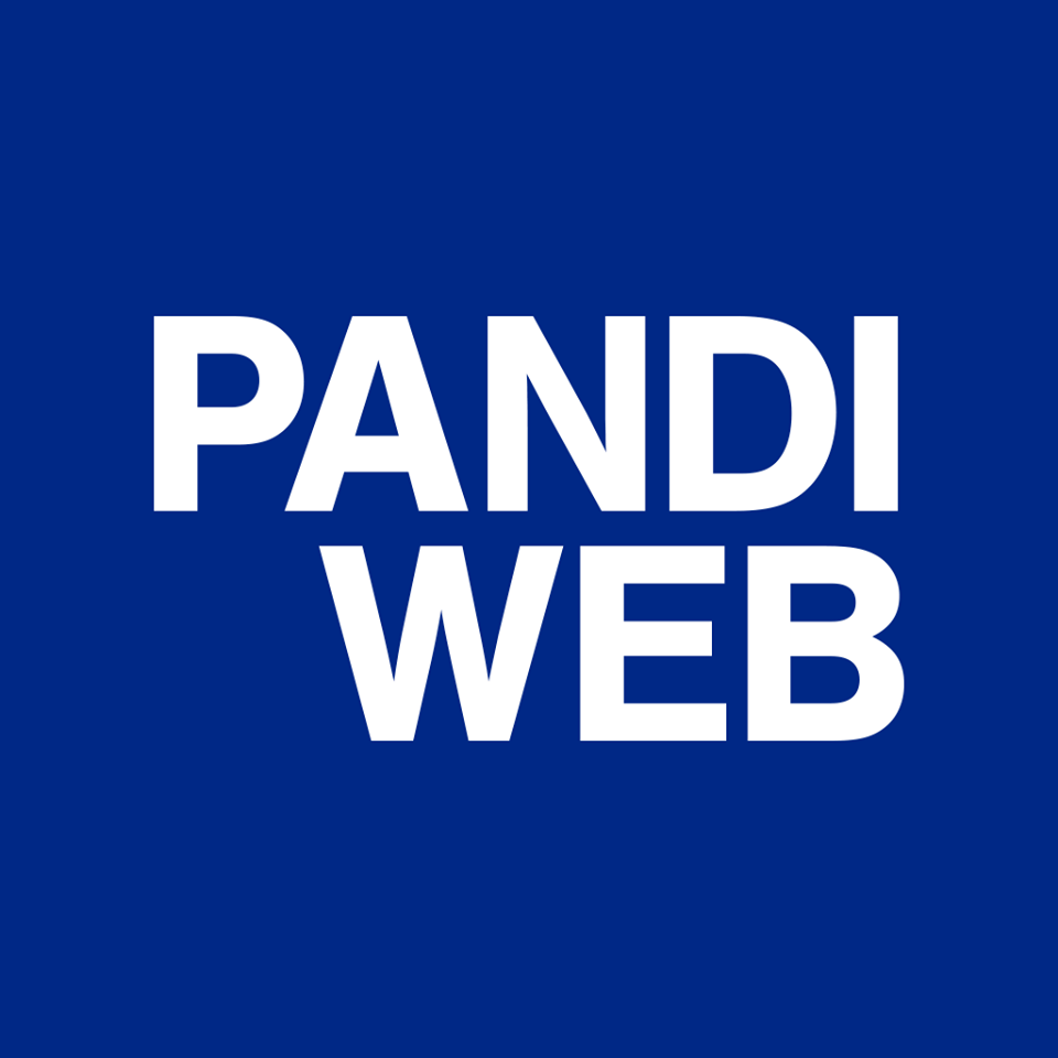 PANDI WEB ApS